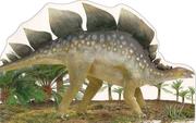 Cover of: Stegosaurus