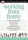 Cover of: Working From Home (Small Business Guides)