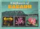 Cover of: Wildflowers of Kakadu