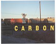 Cover of: Carbon/Book With Insert
