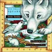 Cover of: Arctic Tundra