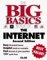 Cover of: The big basics book of the Internet