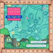 Cover of: One Small Square, The Night Sky