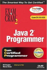 Cover of: Java 2 programmer