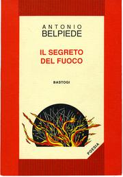 Cover of: Il segreto del fuoco, 1988-1990