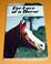 Cover of: For Love of a Horse