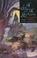 Cover of: A sorcerer and a gentleman