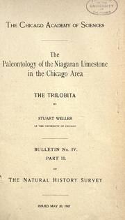 Cover of: The paleontology of the Niagaran limestone in the Chicago area