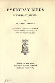 Cover of: Everyday birds