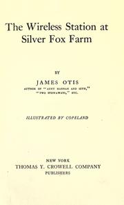 Cover of: The wireless station at Silver Fox Farm