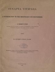 Synapta vivipara by Clark, Hubert Lyman.