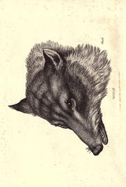 Cover of: A new work of animals by Samuel Howitt
