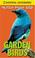 Cover of: National Geographic My First Pocket Guide Garden Birds (NG My First Pocket Guides)