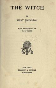 Cover of: The witch by Mary Johnston