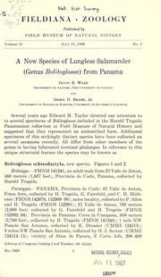 Cover of: A new species of lungless salamander by David B. Wake