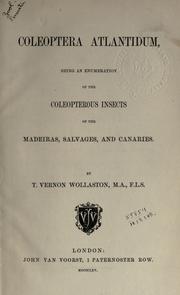 Cover of: Coleoptera Atlantidum by Thomas Vernon Wollaston