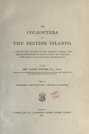 Cover of: The coleoptera of the British Islands by William Weekes Fowler