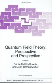 Cover of: Quantum field theory: perspective and prospective