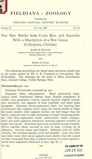 Cover of: Two new beetles from Costa Rica and Australia by Albert Burk Wolcott