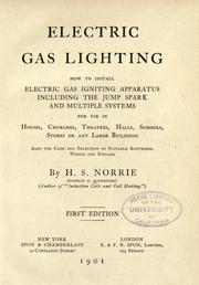 Electric gas lighting by Norman H. Schneider