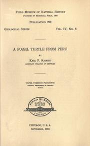 Cover of: A fossil turtle from Peru by Karl Patterson Schmidt