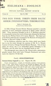Two new fossil thrips from Baltic amber (Thysanoptera ; Terebrantia) by Lewis Judson Stannard