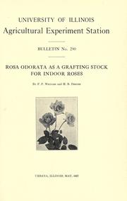 Cover of: Rosa odorata as a grafting stock for indoor roses by F. F. Weinard