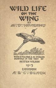 Cover of: Wild life on the wing
