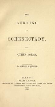 Cover of: The burning of Schenectady: and other poems