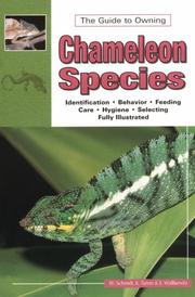 Cover of: Chameleons Vol.1: Species