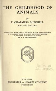 Cover of: The childhood of animals by Mitchell, P. Chalmers Sir