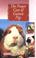 Cover of: Proper Care of Guinea Pigs (Proper Care of...Series)