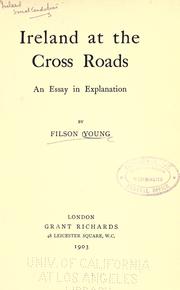 Cover of: Ireland at the cross roads: an essay in explanation