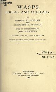 Cover of: Wasps, social and solitary by George W. Peckham