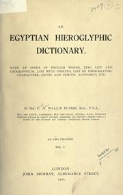 Cover of: An Egyptian hieroglyphic dictionary: with an index of English words, king list and geological list with indexes, list of hieroglyphic characters, coptic and semitic alphabets, etc.