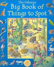 Cover of: The Usborne big book of things to spot