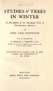 Cover of: Studies of trees in winter by Annie Oakes Huntington