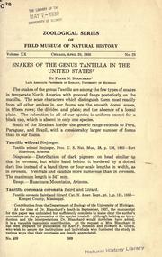 Cover of: Snakes of the genus Tantilla in the United States