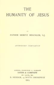 The humanity of Jesus by Maurice Meschler