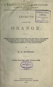 Cover of: Insects affecting the orange by Henry Guernsey Hubbard