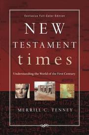 Cover of: New Testament Times: Understanding the World of the First Century