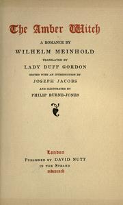 Cover of: The amber witch by Wilhelm Meinhold