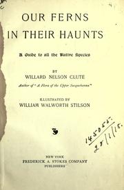 Our ferns in their haunts by Clute, Willard Nelson