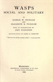 Cover of: Wasps, social and solitary by George W. Peckham