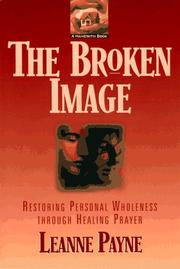 Cover of: The broken image