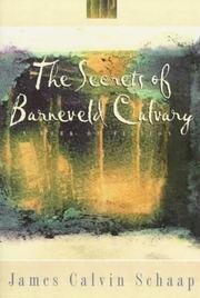 Cover of: The secrets of Barneveld Calvary by James C. Schaap