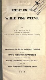 Cover of: Report on the white pine weevil