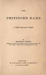 Cover of: The Pettibone name: a New England story