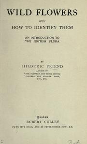 Cover of: Wild flowers and how to identify them: an introduction to the British flora