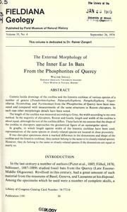 The external morphology of the inner ear in bats from the phosphorites of Quercy by Walter Segall